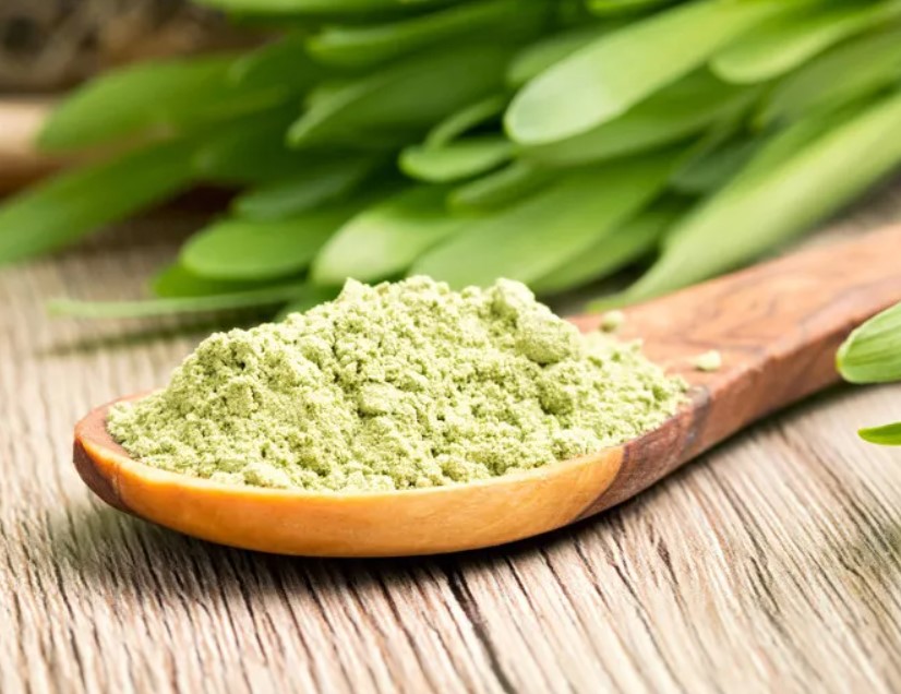 Barley Grass Powder
